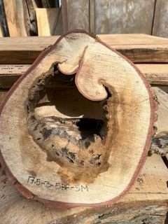 Spalted Maple